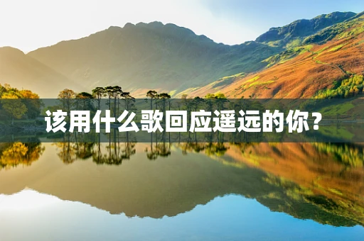 该用什么歌回应遥远的你？