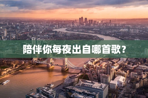 陪伴你每夜出自哪首歌？