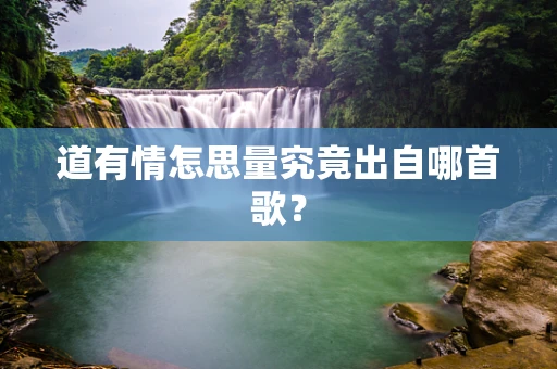 道有情怎思量究竟出自哪首歌？