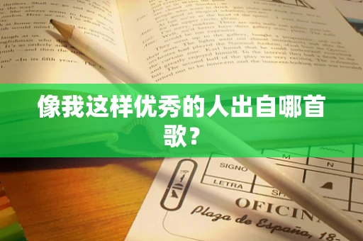 像我这样优秀的人出自哪首歌？