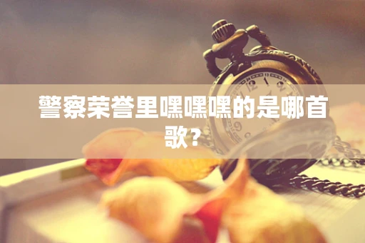 警察荣誉里嘿嘿嘿的是哪首歌？