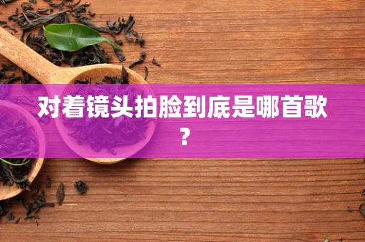 对着镜头拍脸到底是哪首歌？