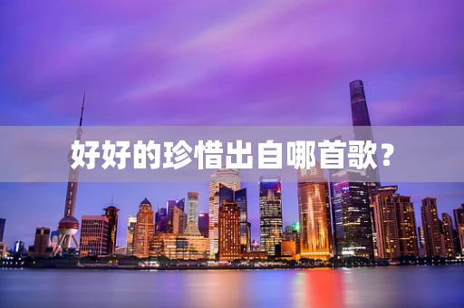 好好的珍惜出自哪首歌？