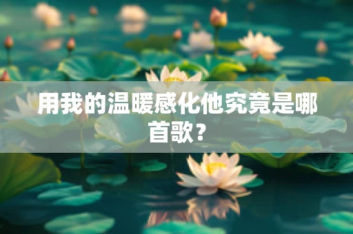 用我的温暖感化他究竟是哪首歌？
