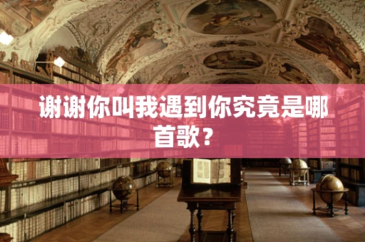 谢谢你叫我遇到你究竟是哪首歌？