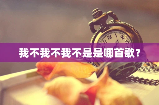 我不我不我不是是哪首歌？