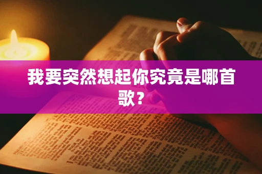 我要突然想起你究竟是哪首歌？