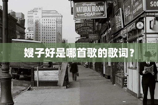 嫂子好是哪首歌的歌词？