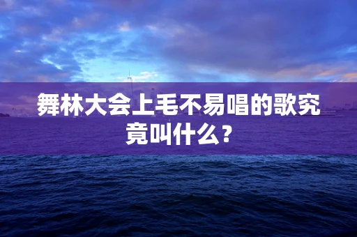 舞林大会上毛不易唱的歌究竟叫什么？