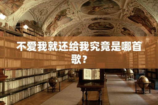 不爱我就还给我究竟是哪首歌？