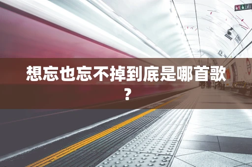 想忘也忘不掉到底是哪首歌？