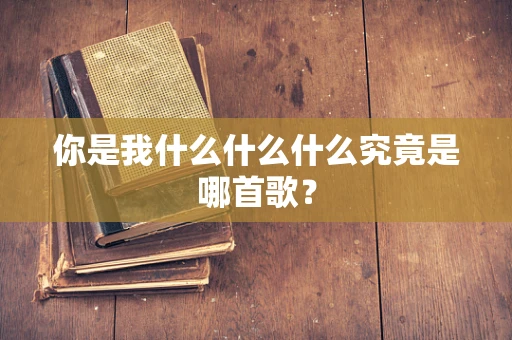 你是我什么什么什么究竟是哪首歌？
