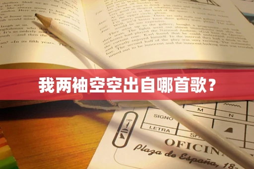 我两袖空空出自哪首歌？