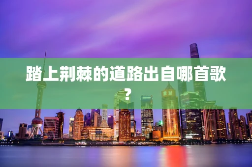 踏上荆棘的道路出自哪首歌？