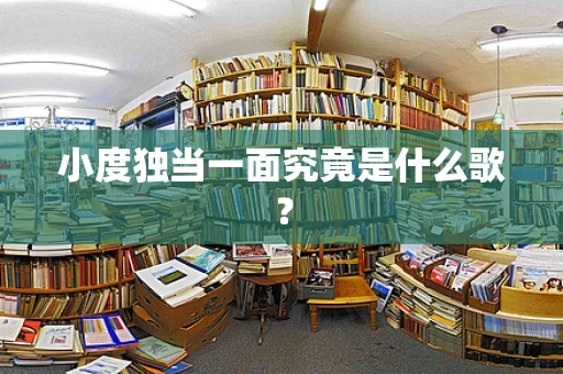小度独当一面究竟是什么歌？