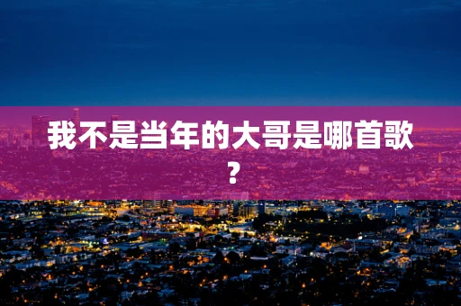 我不是当年的大哥是哪首歌？