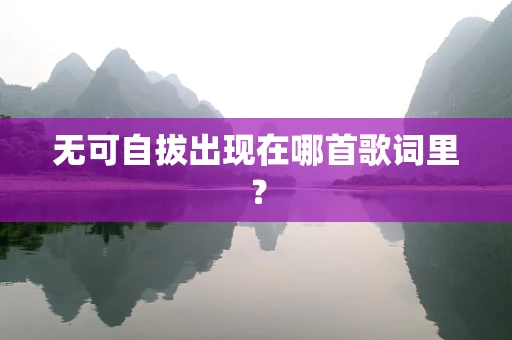 无可自拔出现在哪首歌词里？