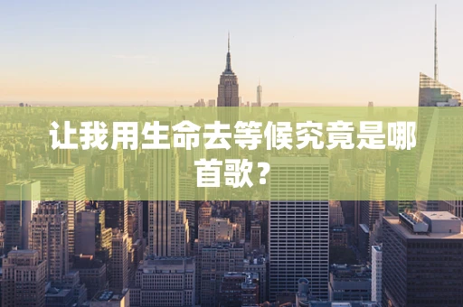 让我用生命去等候究竟是哪首歌？