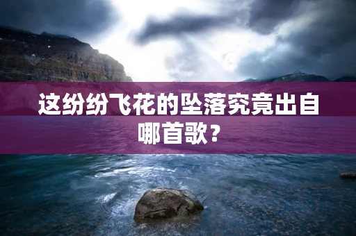 这纷纷飞花的坠落究竟出自哪首歌？
