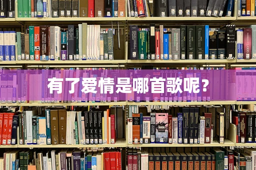 有了爱情是哪首歌呢？