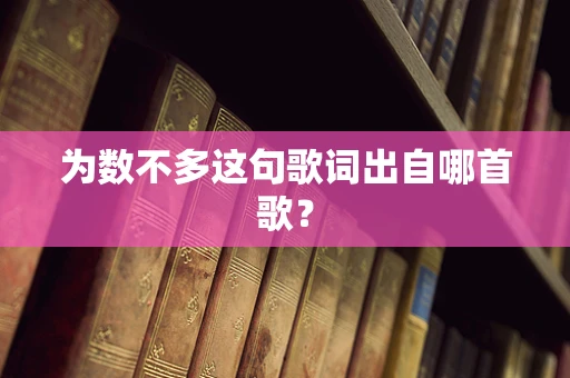 为数不多这句歌词出自哪首歌？