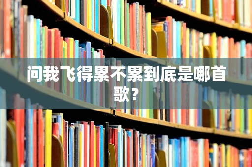 问我飞得累不累到底是哪首歌？