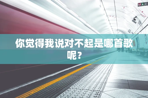 你觉得我说对不起是哪首歌呢？