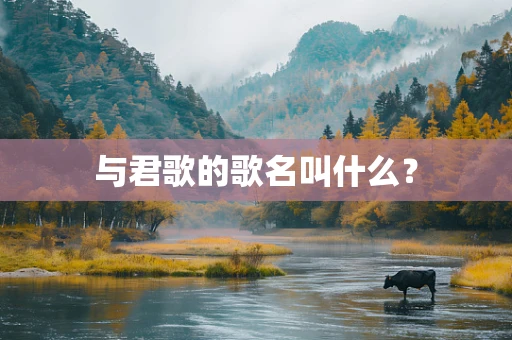 与君歌的歌名叫什么？