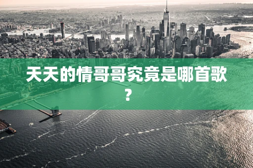 天天的情哥哥究竟是哪首歌？