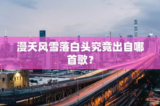 漫天风雪落白头究竟出自哪首歌？