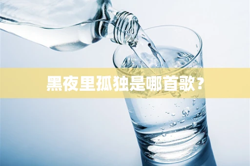 黑夜里孤独是哪首歌？