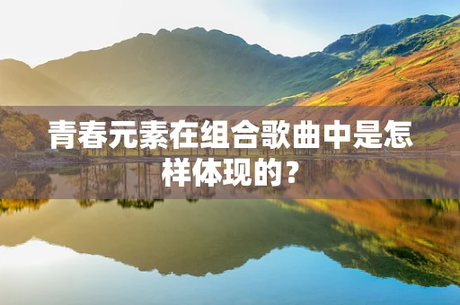 青春元素在组合歌曲中是怎样体现的？