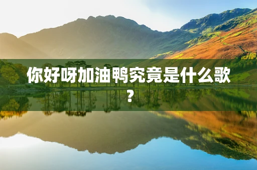 你好呀加油鸭究竟是什么歌？