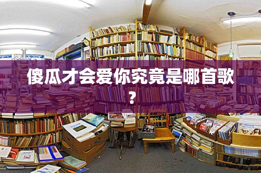 傻瓜才会爱你究竟是哪首歌？