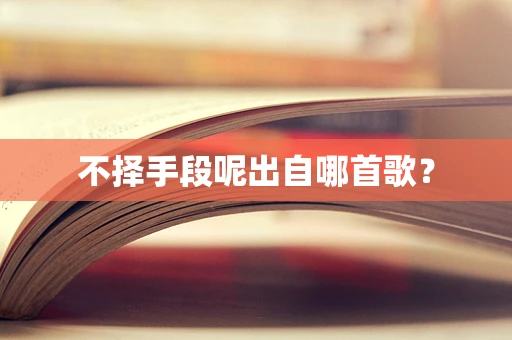不择手段呢出自哪首歌？