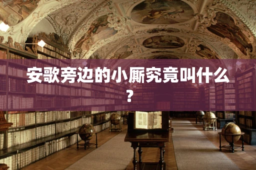 安歌旁边的小厮究竟叫什么？