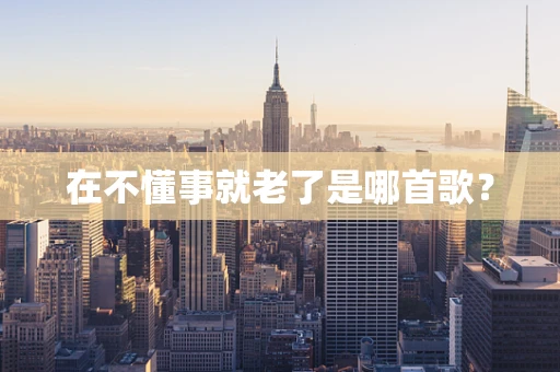 在不懂事就老了是哪首歌？