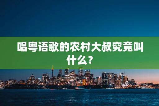 唱粤语歌的农村大叔究竟叫什么？