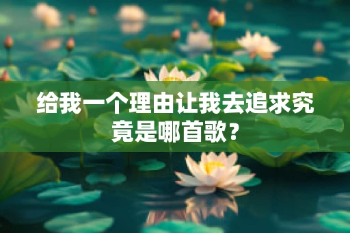 给我一个理由让我去追求究竟是哪首歌？