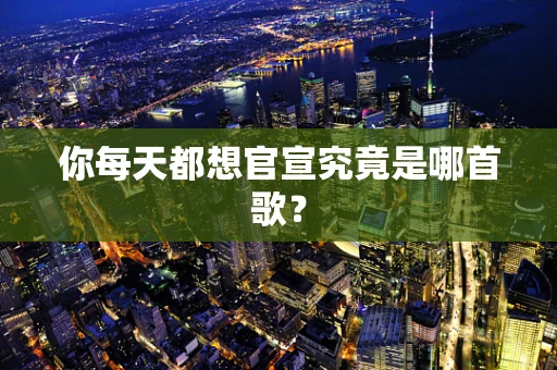 你每天都想官宣究竟是哪首歌？