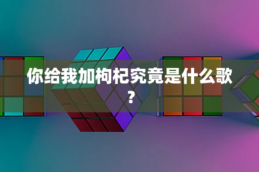 你给我加枸杞究竟是什么歌？