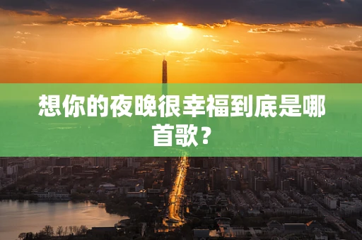 想你的夜晚很幸福到底是哪首歌？