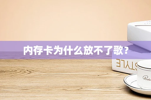 内存卡为什么放不了歌？