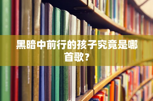 黑暗中前行的孩子究竟是哪首歌？