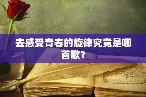 去感受青春的旋律究竟是哪首歌？