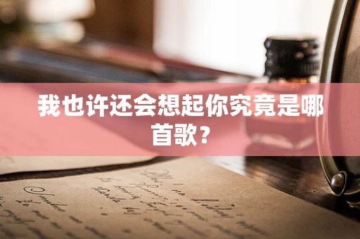 我也许还会想起你究竟是哪首歌？