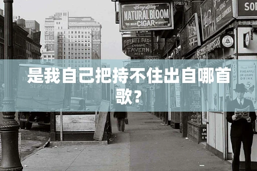 是我自己把持不住出自哪首歌？