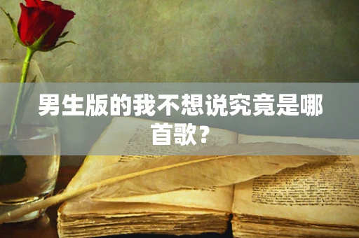 男生版的我不想说究竟是哪首歌？