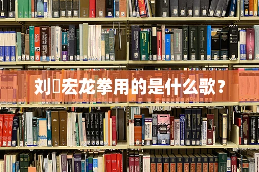 刘畊宏龙拳用的是什么歌？