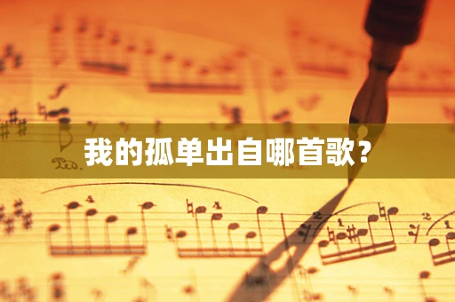 我的孤单出自哪首歌？